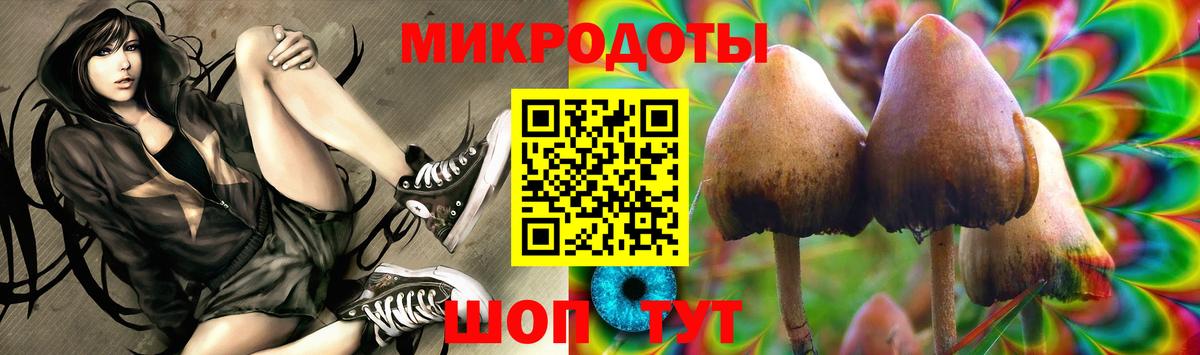 Галлюциногенные грибы Cubensis Южноуральск